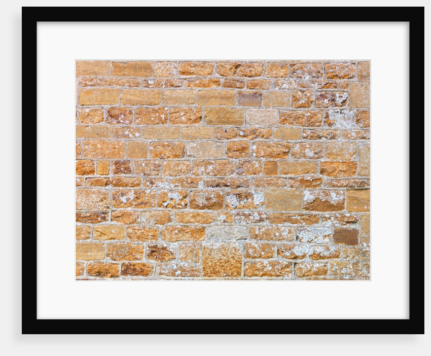Brickwall by Assaf Frank